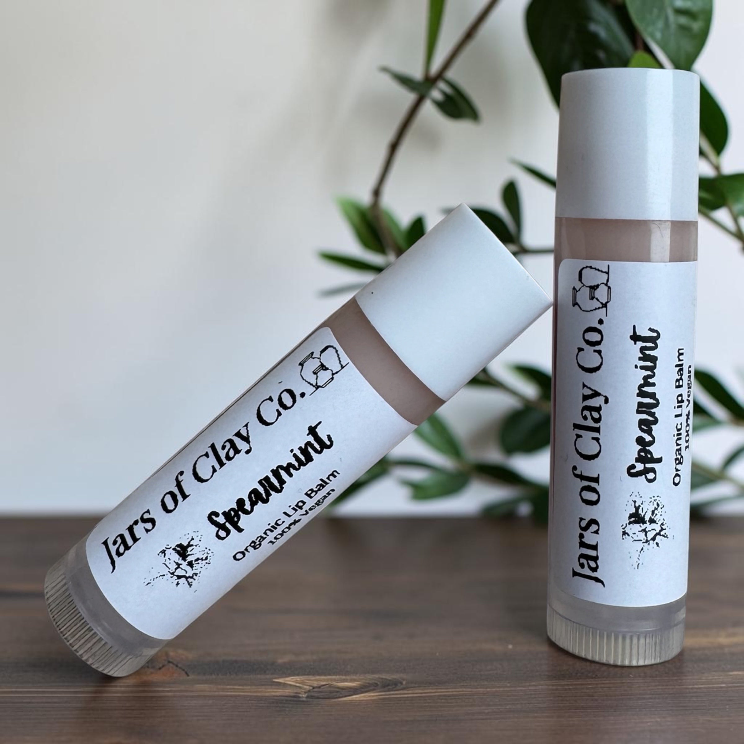6 Flavors of Lip Balm